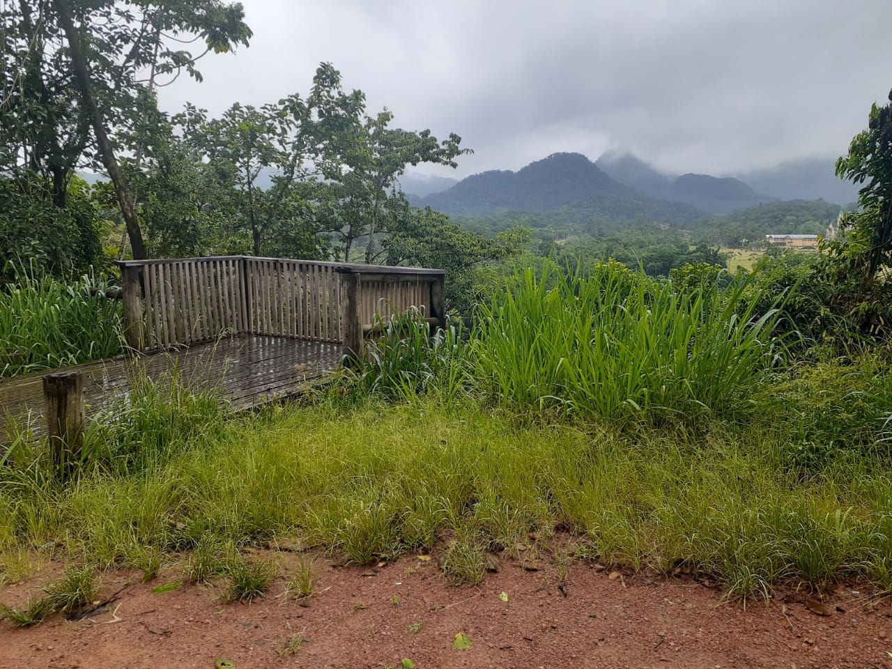 Mirante Morro do Süssenbach-Antes da limpeza.jpeg