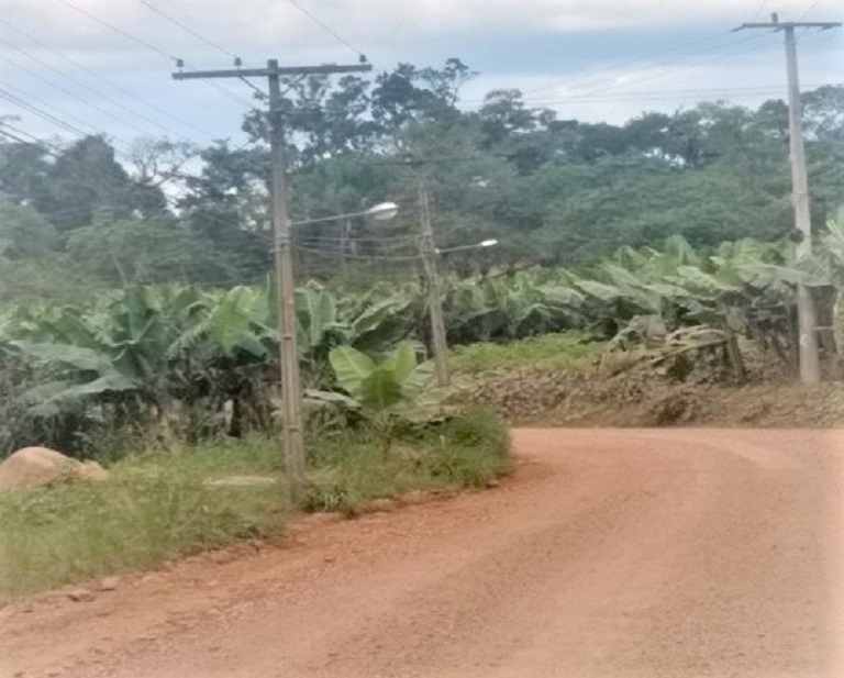 Postes de energia elétrica na estrada Felipe Schmidt.jpg