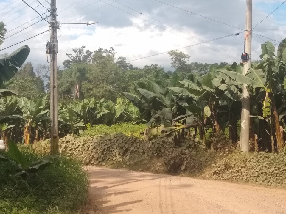 Remoção de postes de energia elétrica na Estrada FElipe Schmidt-1.jpg