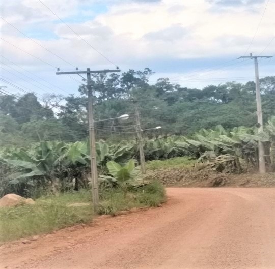 Remoção de postes de energia elétrica na Estrada FElipe Schmidt.jpg