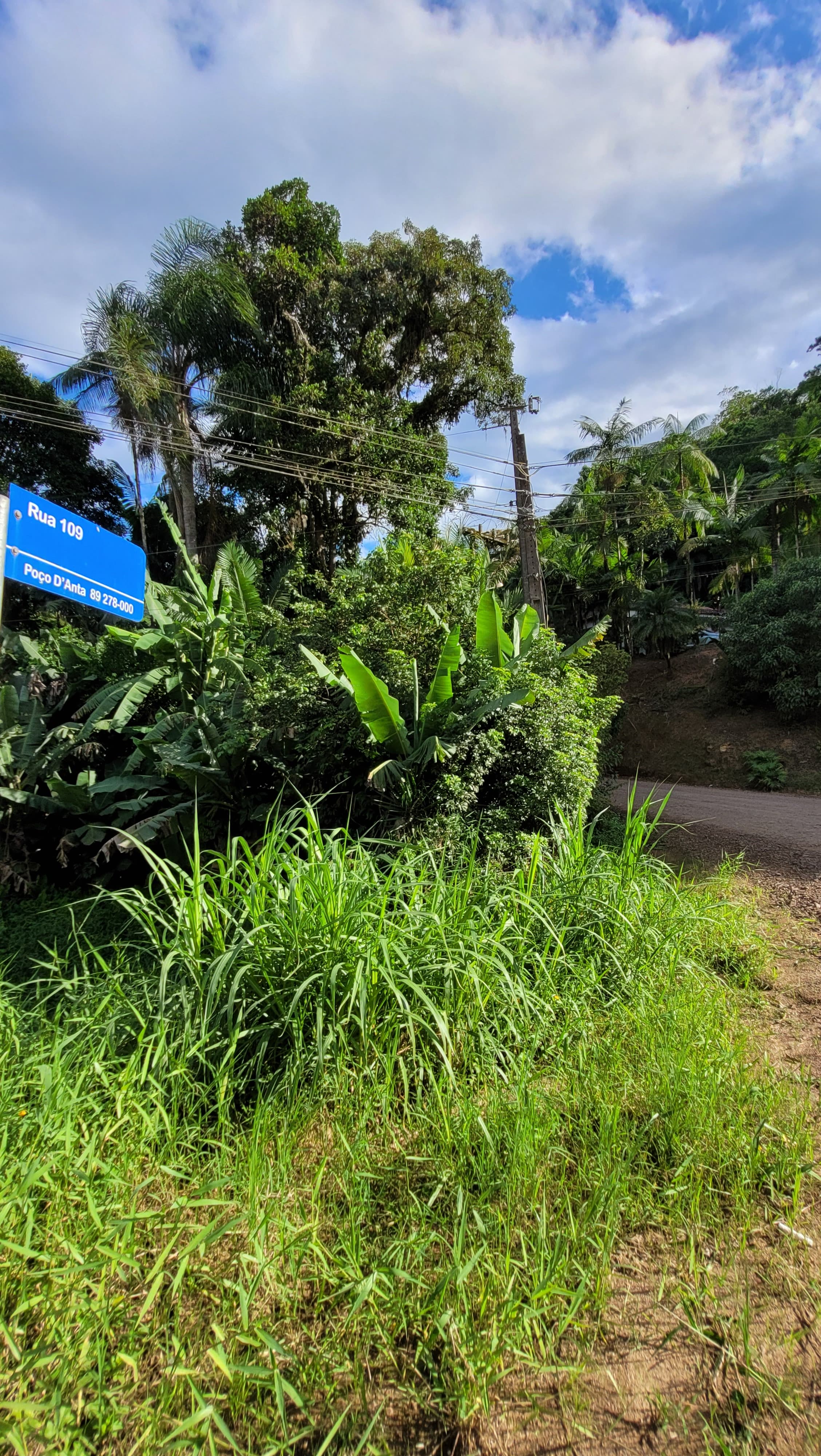 VEREADORES SOLICITAM, ATRAVÉS DE INDICAÇÃO, MANUTENÇÃO ÀS MARGENS DA RUA ESTRADA CARROEIRA 